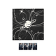 Seventeen - happy the 8 day scarf-8 style
