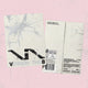 Seventeen V8 - V8 1st Mini Album Soundwave Gift Weverse Albums Ver
