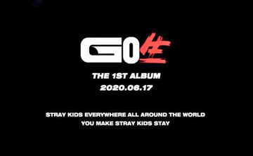 Stray Kids Go 生 Album