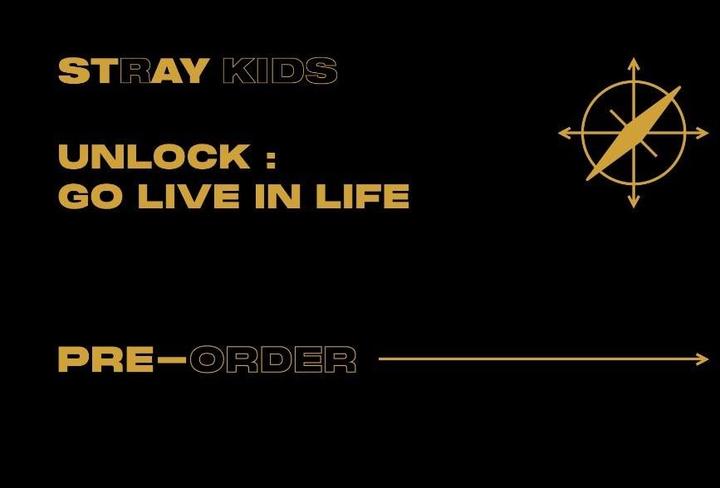 Stray Kids UNLOCK:  Go Live in Life Merch