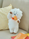 BT21 - Welcome Party MD RJ Lying Medium Sized Doll