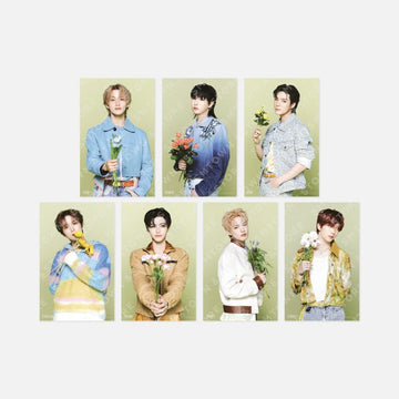 Nct Dream - Dream Finder : Chase the Light Pop up 1st Official MD 4x6 Photo Set