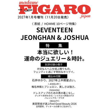 Seventeen Jeonghan X Joshua - Madame Figaro Japan Magazine 2027 January Issue Cover