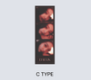 Ive jang won young - dicon volume n31 c type