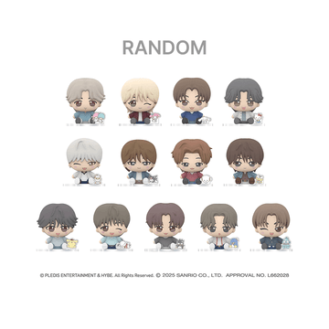 SEVENTEEN - Seventeen X Sanrio Character Official MD Figures (Random)