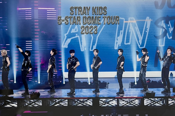 Stray Kids 5-Star in Japan DVD POB Mini Poster