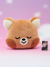 NCT dream - sweet dreamiez medium plush cushion
