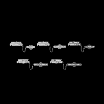 Allday project official md metal chain badge