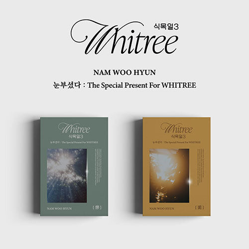 Nam Woohyun - The Special Present for Whitree