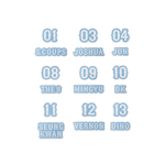 Seventeen - Seventeen In Carat Land 2026 Svt 10th Fan Meeting Official Md Patch