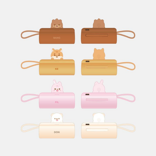 Day6 - the present 2025 special concert official md petit denimalz power bank