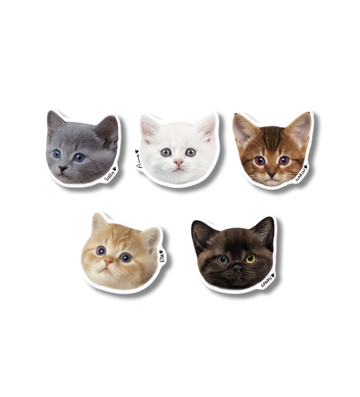 MEOVV - 1st Ep Official MD Pop Socket – Kpop Omo