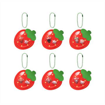 NCT Wish - Wishberry Bakery Official Md Random Blister Keyring