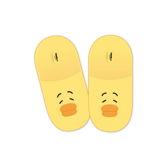 Taemin - taemori pop up official md room slippers