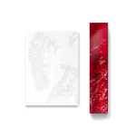 BTS v - type 非 photobook+poster set