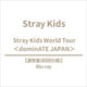 Stray kids - dominate japan stray kids world tour blu-ray standard edition