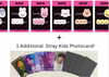 STRAY KIDS SKZOO Hairpin + SKZ SLBS Photocard