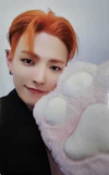 Ateez Golden Hour - Official POB Photocards (Paw Version)