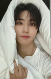 Stray Kids - HOP Official JYP POB Photocards (Blanket Version)