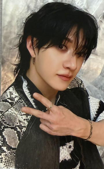 Stray Kids Do It POB Photocard C