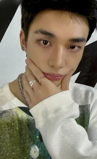 Stray Kids Dominate Celebrate POB Photocards