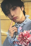 Stray Kids Japanese Album - Hollow POB Photocards