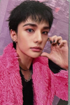 Stray Kids Do It POB Photocard B