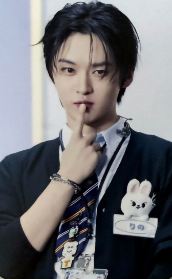 Stray Kids SKZ Toy POB Photocards