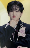 Stray Kids SKZ Toy POB Photocards