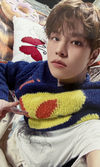 Stray Kids Stay in Our Little House Fanmeeting Official POB Photocard