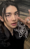 Stray Kids This & That POB Photocard