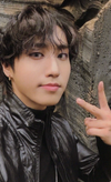 Stray Kids This & That POB Photocard