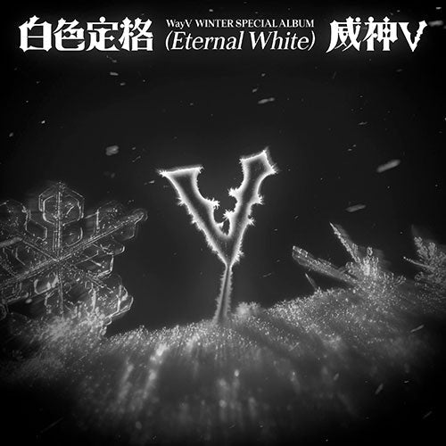 Wayv - eternal white winter special album package ver random