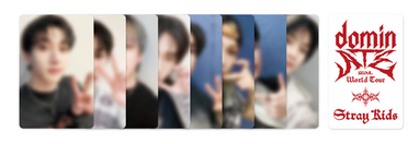 Stray kids - dominate seoul world tour DVD blu-ray – Kpop Omo