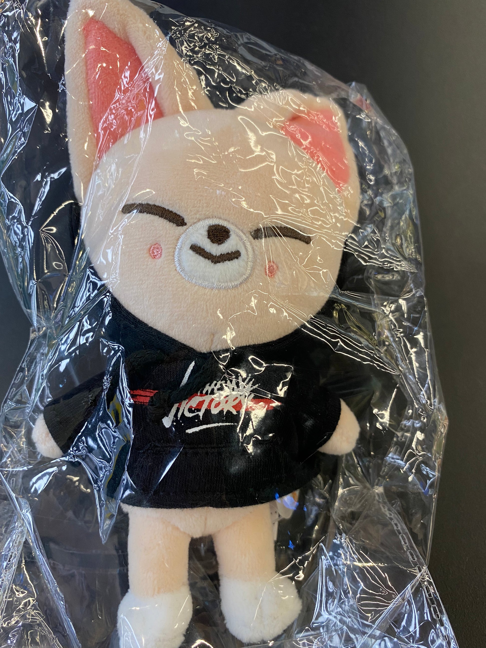 Stray Kids x SKZOO "Victory" Pop Up MD (SKZ x SKZOO Character Options) - Kpop Omo