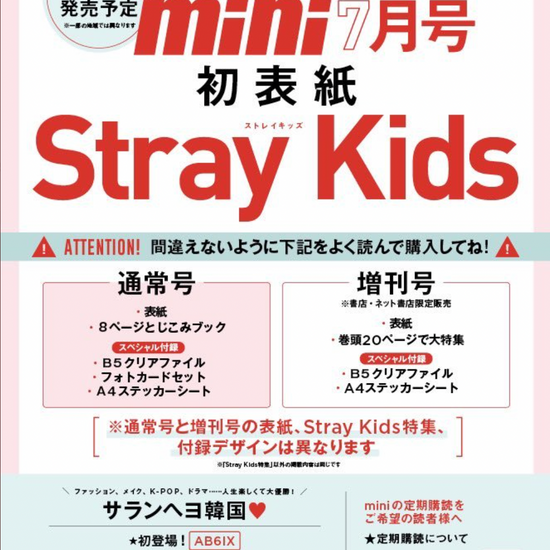 STRAY KIDS on cover of mini Magazine Japan (July 2022 Issue) - Kpop Omo