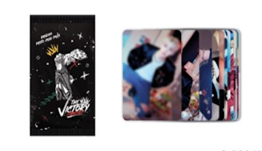 STRAY KIDS SKZOO - THE VICTORY SPECIAL EDITION MD PHOTOCARDS – K-POP WORLD