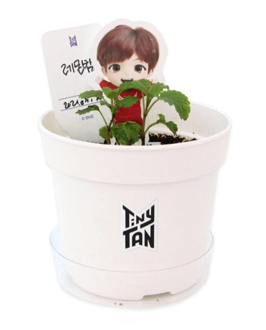 BTS x TinyTAN Official SEED STICK KIT - Kpop Omo