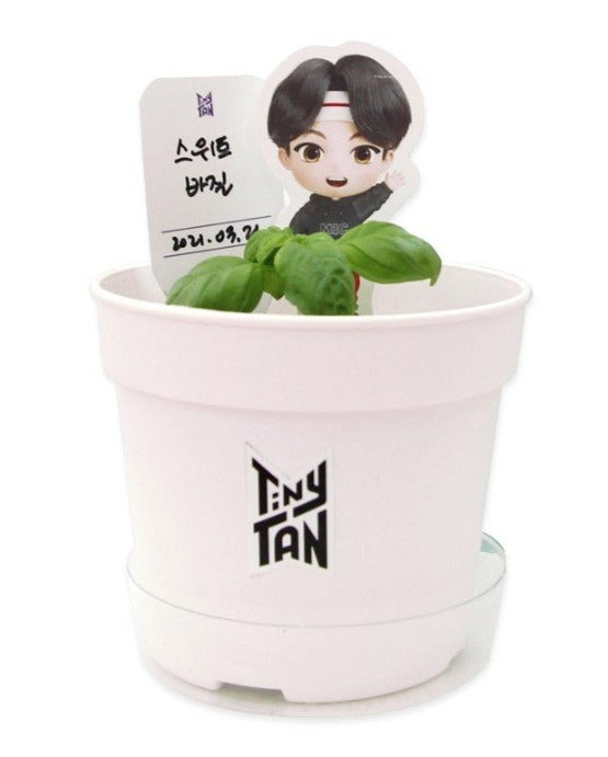 BTS x TinyTAN Official SEED STICK KIT - Kpop Omo