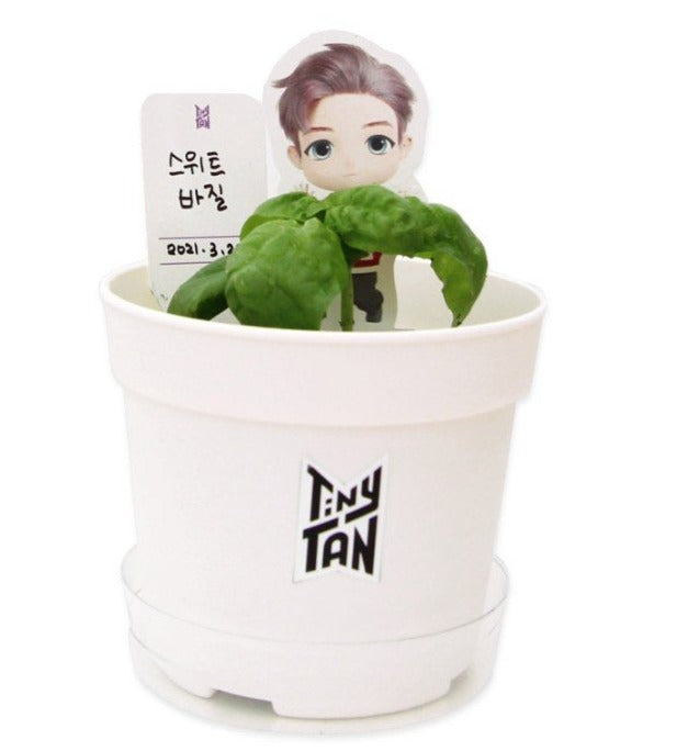 BTS x TinyTAN Official SEED STICK KIT - Kpop Omo