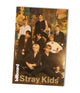 STRAY KIDS - Billboard Collectorâ€™s Edition Magazine - Kpop Omo