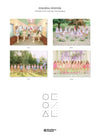 LOONA - SUMMER SPECIAL MINI ALBUM FLIP THAT - Kpop Omo